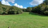 Percorso Marcia Bort-les-Orgues - Chute de la Saule - Photo 20