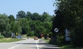 Tour Zu Fuß Stablo - 1. Promenade du Lièvre - Photo 6