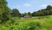 Tour Wandern Florenville - Les Epioux 200824 - Photo 2