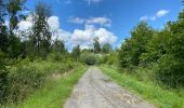Trail Walking Brunehaut - Rongy 11,1 km - Photo 7