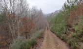 Trail Walking Viroinval - Le Trou du Diable à Oignies en Thiérache - Photo 3