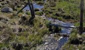 Tocht Stappen Prinsuéjols-Malbouzon - prinsueljols-aubrac etape st Jacques  - Photo 16