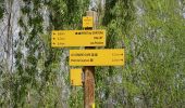 Trail Walking Cournon-d'Auvergne - Cournon  (Au fil de l'Allier) - Photo 6