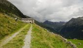 Percorso A piedi Campo Tures - Reiner Höhenweg - Photo 1