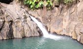 Randonnée Marche Pointe-Noire - Guadeloupe - Saut de l'Acomat - Photo 3