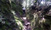 Trail Walking Moca-Croce - piscia di l onda - Photo 5