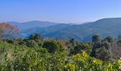 Tour Wandern Collobrières - les sources de la Giscle - Photo 1