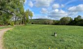 Trail Walking Libramont-Chevigny - Bras-Bas Carrière  - Photo 4