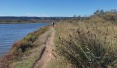 Tour Wandern Châteauneuf-les-Martigues - Étang de Bolmont  - Photo 2