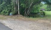 Trail Trail Sainte-Anne - Saint Anne  - Photo 3