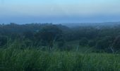 Trail Trail Saint-Claude - Beausoleil  - Photo 6