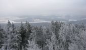 Percorso A piedi Přední Výtoň - naučná stezka Svatý Tomáš - Photo 2