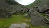 Tocht Te voet The Municipal District of Wicklow - Spinc and Glenealo Valley - Photo 4