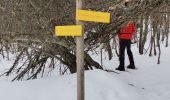 Tour Schneeschuhwandern Les Déserts - la Féclaz - Croix du Nivolet - Photo 1