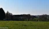 Tour Wandern Herve - 20200326 - Xhendelesse 5.6 Km - Valide - Photo 8