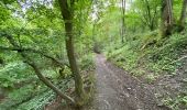 Tour Wandern Flémalle - Chokier ter 19 km - Photo 7