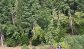 Trail Horseback riding Bastogne - Livarchamps 24/09 - Photo 3