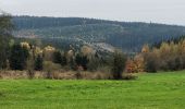 Tour Wandern La Roche-en-Ardenne - rando samrée 2-11-2024 - Photo 2