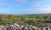 Tour Wandern Leucate - plateau de leucat sud-est sans grand route  - Photo 5