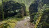 Excursión Senderismo Bertrix - ruisseau des Muno - Photo 5