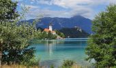 Trail Walking Bled - bled - tour du lac - Photo 5