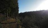 Tocht Mountainbike Virton - Le Gros Cron de Lahage  -  Balade_VTT_23Kms - Photo 9