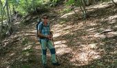 Tocht Stappen Le Castellard-Mélan - Le Castellard/Tour de la Roche des brigands  - Photo 2