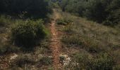 Trail Walking Roussillon - Roussillon  - Photo 3