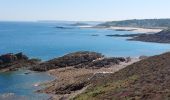 Trail Walking Erquy - LES PLAGES SAUVAGES A ERQUY - Photo 2