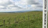 Tour Wandern Saint-Alyre-ès-Montagne - Col de chamaroux Pradier Le Saillant  - Photo 4