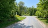 Tocht Stappen Compiègne - en Forêt de Compiègne_50_les Routes des Beaux Monts, de Morpigny et des Nymphes - Photo 3