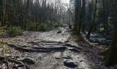 Trail On foot Stavelot - Hockai : 11. La Hoegne - Photo 3