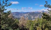 Tour Wandern Prads-Haute-Bléone - Crête du Cadun via Serre en Haute Bléone - Photo 17