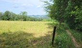 Tour Wandern Ferrières - Burnontige 180623 - Photo 4