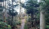 Tour Wandern Malmedy - malmedy . ferme libert .  tro maret . ferme libert . malmedy par les crêtes  - Photo 3