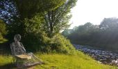 Tour Zu Fuß Ommen - WNW Vechtdal- Lemeleresch - rode route - Photo 1