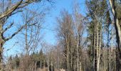 Tocht Stappen Blieberg - A la découverte de Hombourg et ses environs  - Photo 14