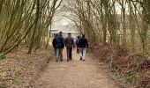 Trail Walking Zottegem - 20220316 WSV Egmont 7 km - Photo 4