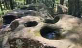Tour Wandern Vexaincourt - Le charme mystérieux du lac de la Maix - Photo 15