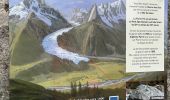 Tocht Stappen Chamonix-Mont-Blanc - Chamonix : Les Bois - le chapeau  - Photo 7