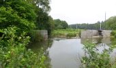 Tour Zu Fuß Ham-sur-Heure-Nalinnes - Promenade de Cour-sur-Heure - Photo 3