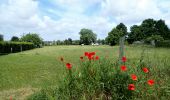 Tour Zu Fuß Genappe - #200523 - Loncée, Vallée de la Haute Dyle et Houtain*** - Photo 6