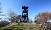 Percorso A piedi Gemeinde Furth an der Triesting - Weißenbach - Hocheck (rot) - Photo 3