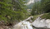 Trail Walking Cogne - 1 Cogne Valnontey Refuge Victorio Sella 2584 m +850 m - 0 m - Photo 3