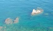 Tocht Stappen Banyuls-sur-Mer - banyuls . coll de gran bau . retour par le littoral  - Photo 9