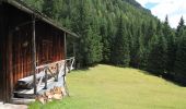 Trail On foot Domegge di Cadore - IT-345 - Photo 5