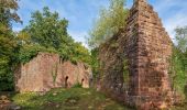 Percorso A piedi Eberbach - Rundwanderweg 3: Burg-Eberbach-Weg - Photo 4