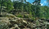 Randonnée Marche Albertacce - lac ninu Corse  - Photo 3