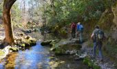 Randonnée Marche Tourves - Tourves- Le Saut du Cabri - Les gorges du Caramy - Photo 16