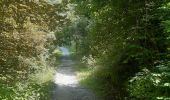 Excursión Senderismo Baratier - tour d Embrun et son plan d eau - Photo 18